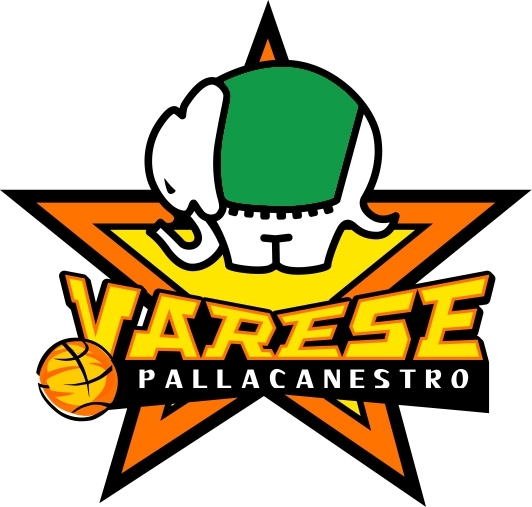 varesebasket